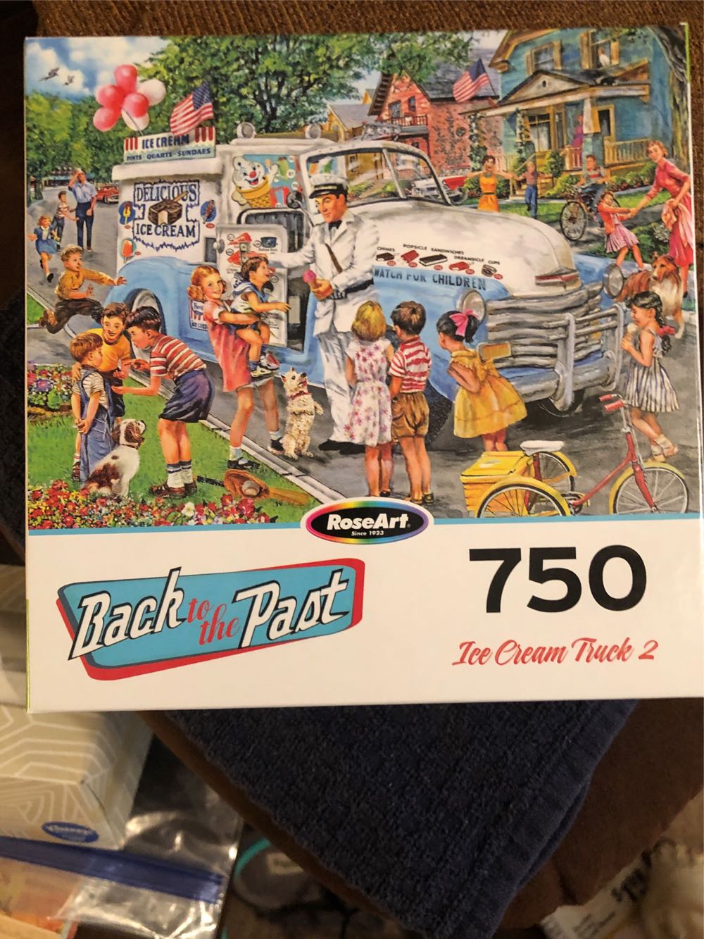 Fun At Winter Wonderland (1 Missing Piece)