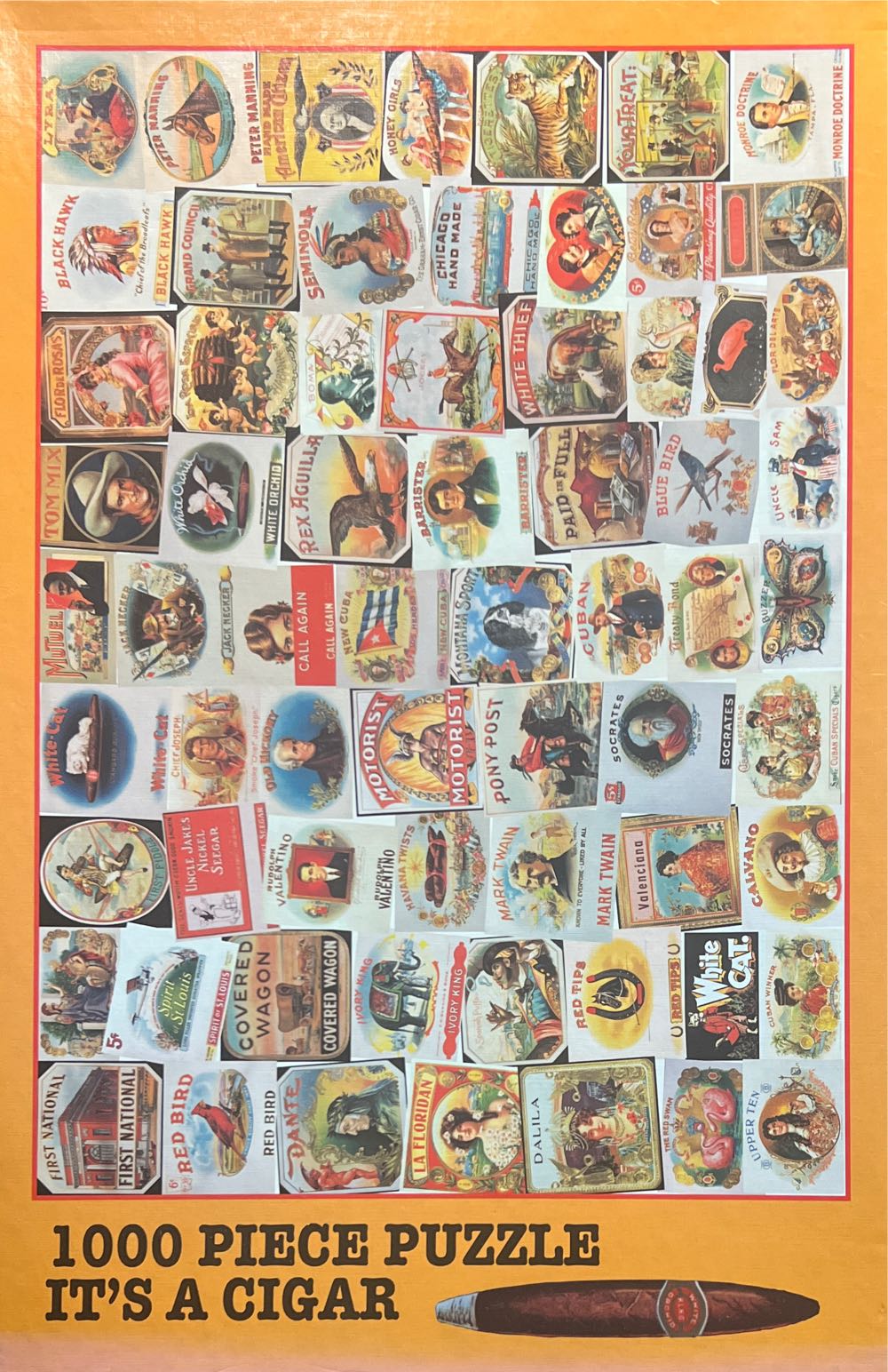 The Pet Vet - Jane Wooster Scott