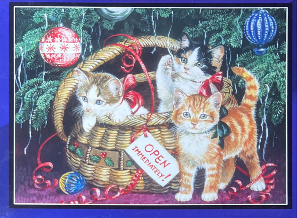 Yosemite Valley at Dusk