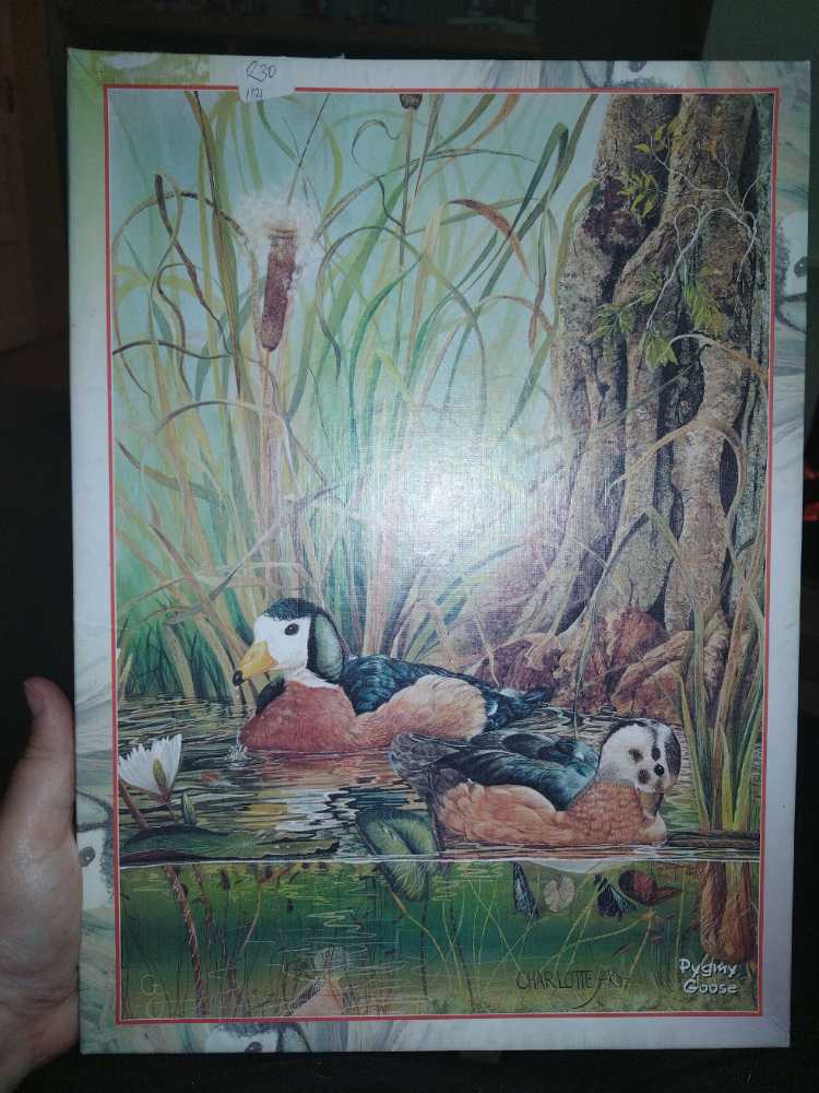 Unidragon Mandala Overarching Opposites