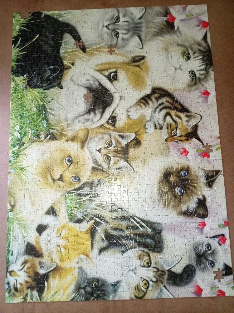 12 Cats And A Dog - Jumbo puzzle collectible [Barcode 8710126018705] - Main Image 2