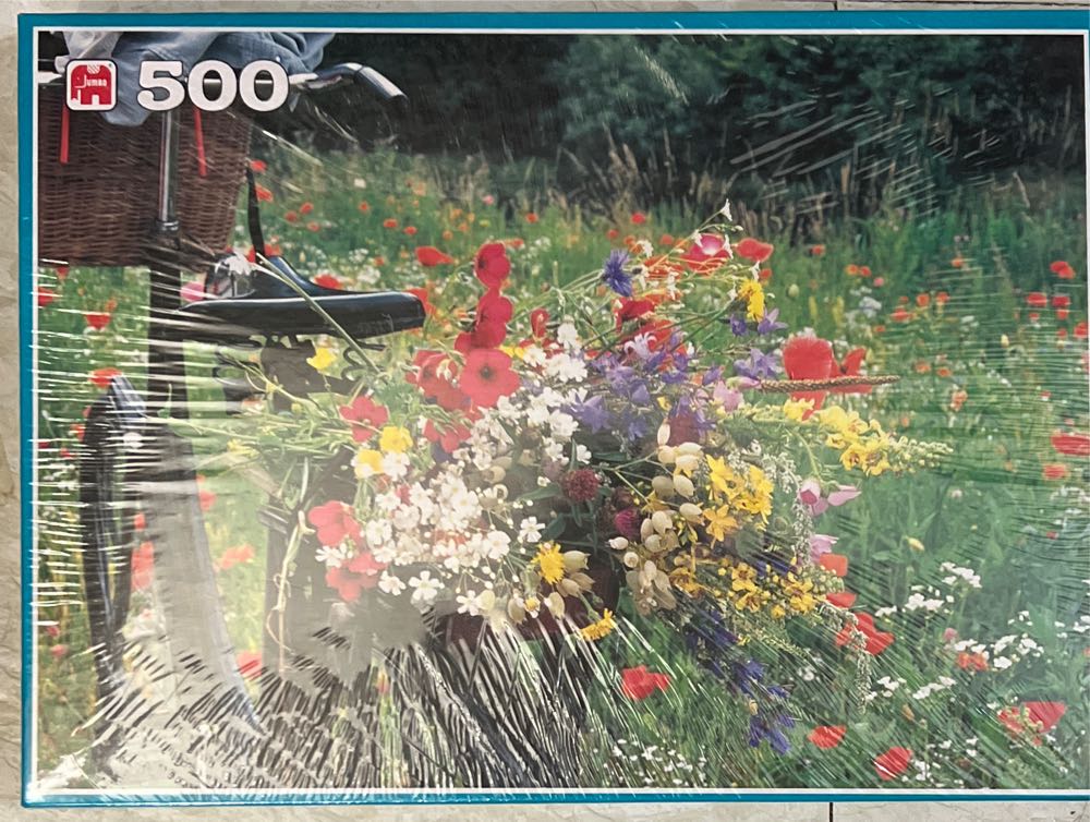 Snoopy Camp Beagle Scouts