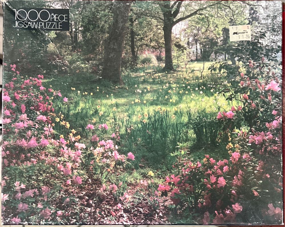 Sunshine At The Seaside