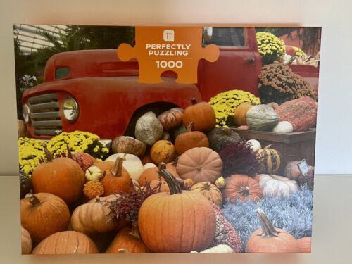 Portrait Women And Animals