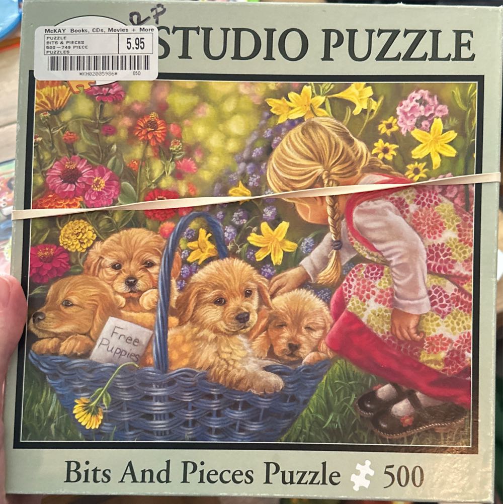 Illuminated Pokémon