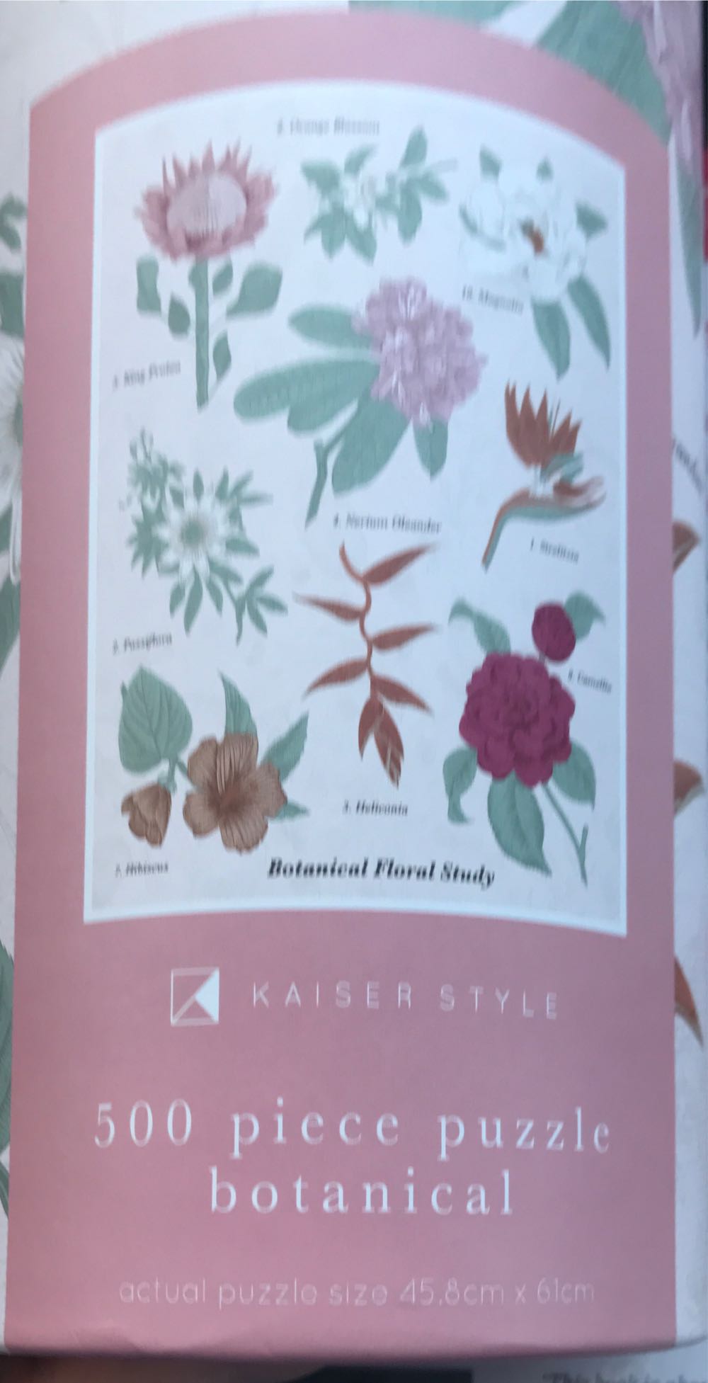 Rialto Bridge, Venice, Italy