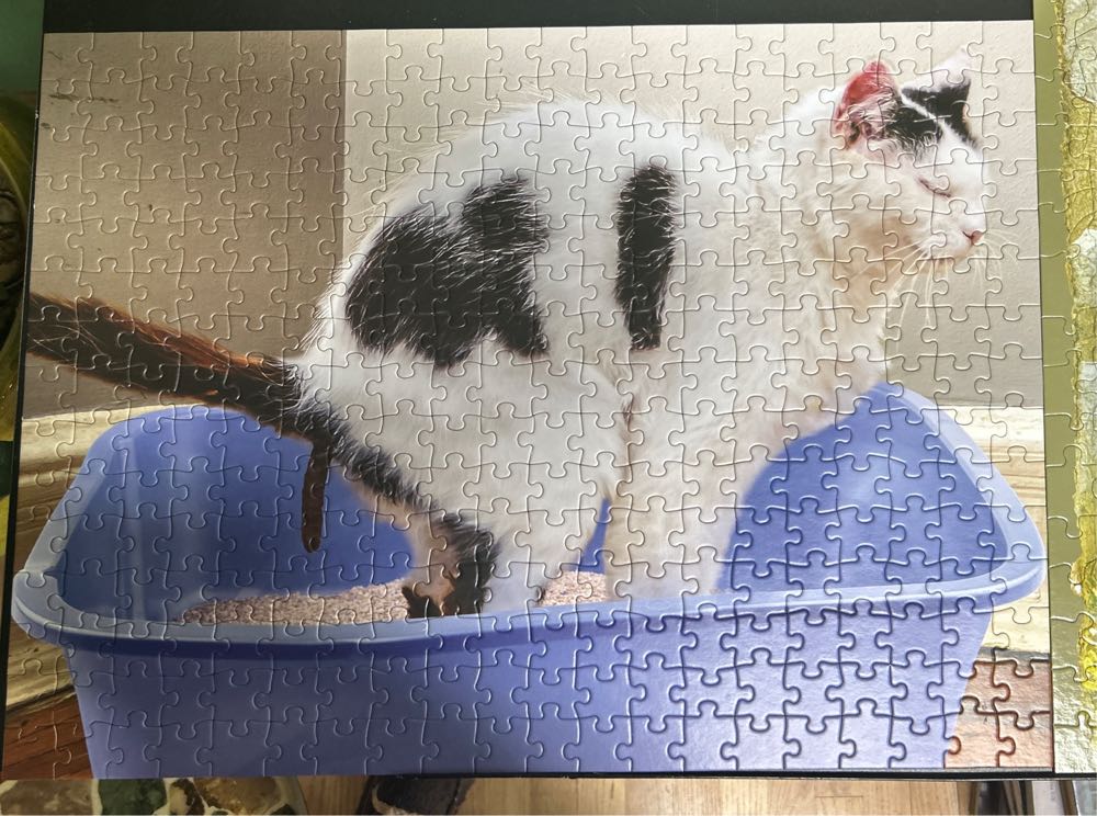 A Playful Pile Of Kittens - Wilder Toys puzzle collectible [Barcode 182805000161] - Main Image 3