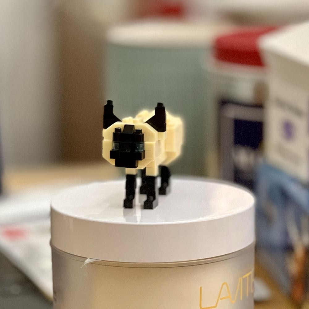 The Christmas Library 🔒