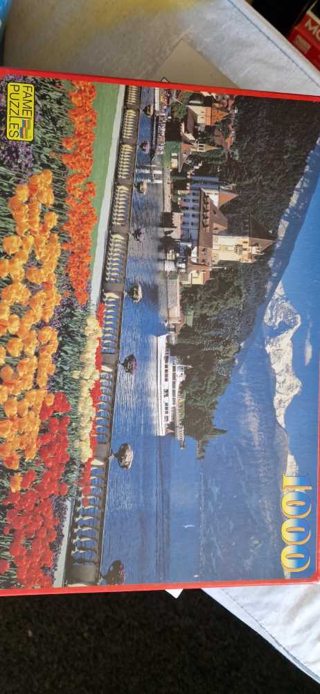 Animals Of The Jungle