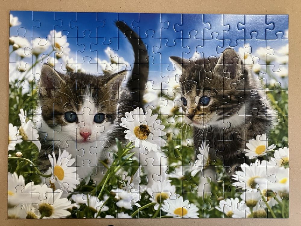 Kitties And Daisies - Ravensburger puzzle collectible [Barcode 4005556106127] - Main Image 2