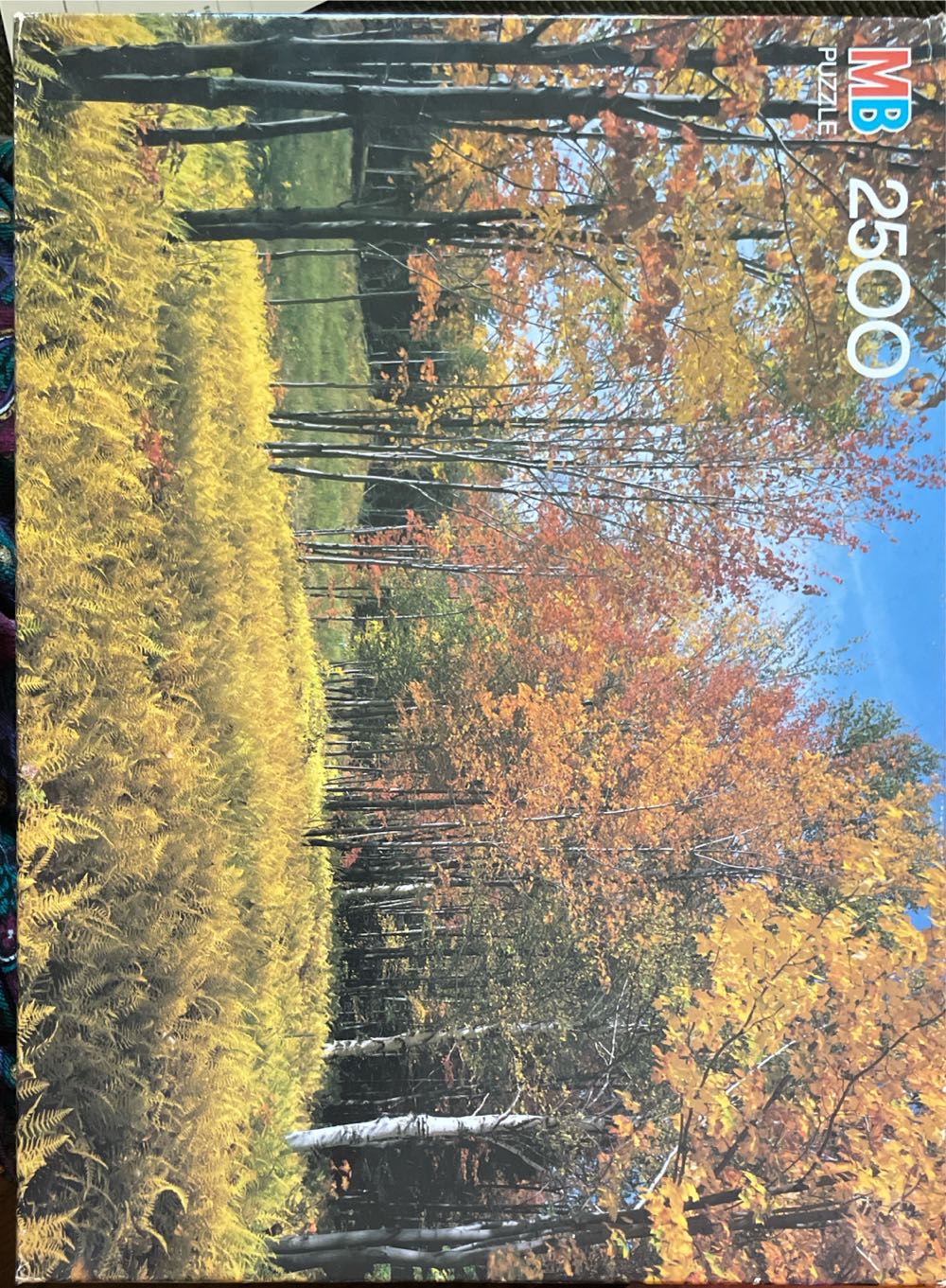 Almost Impossible Puzzle: Shark Reef