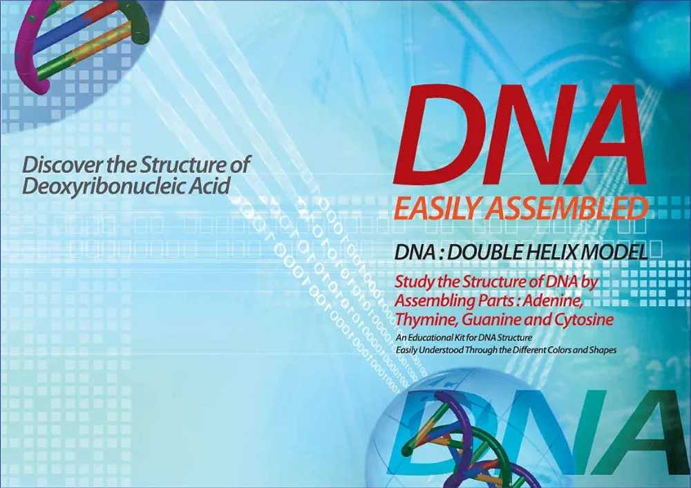 DNA: Double Helix Model - HUFS DLC puzzle collectible - Main Image 2