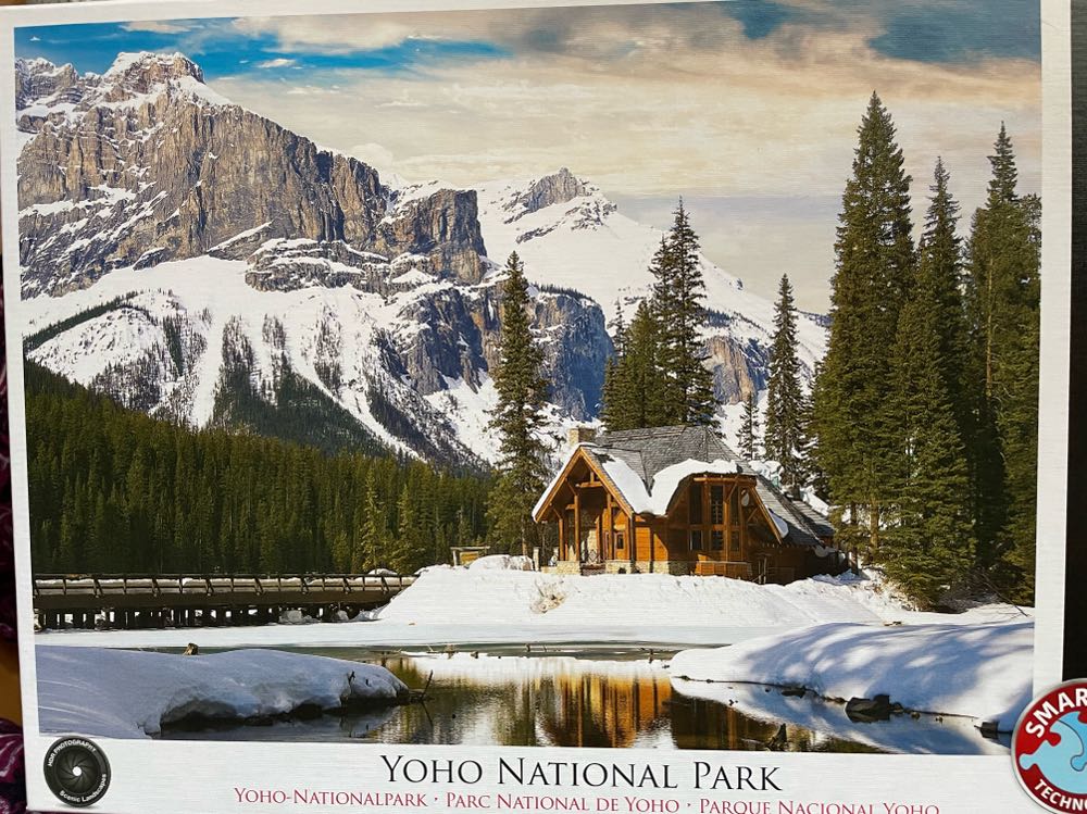 Rainbow Flower Portrait (NFS/T)