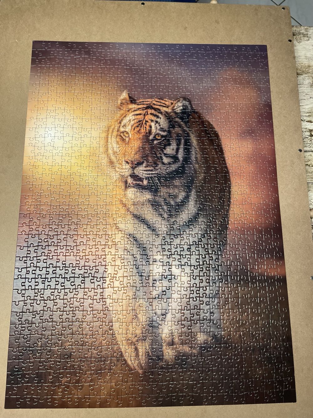 Tiger - Clementoni puzzle collectible [Barcode 8005125397730] - Main Image 2