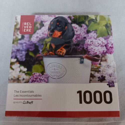 Circle of Colors 2 : Donuts