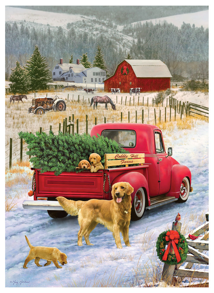 The Of For Book Books