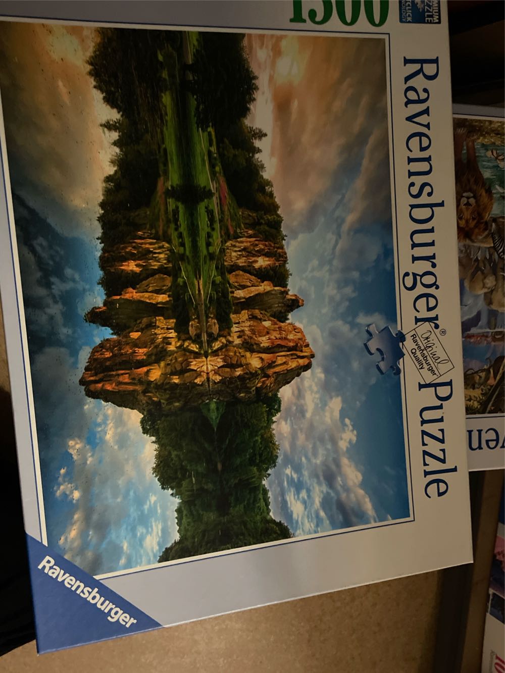 Pansies And Daisies Collage