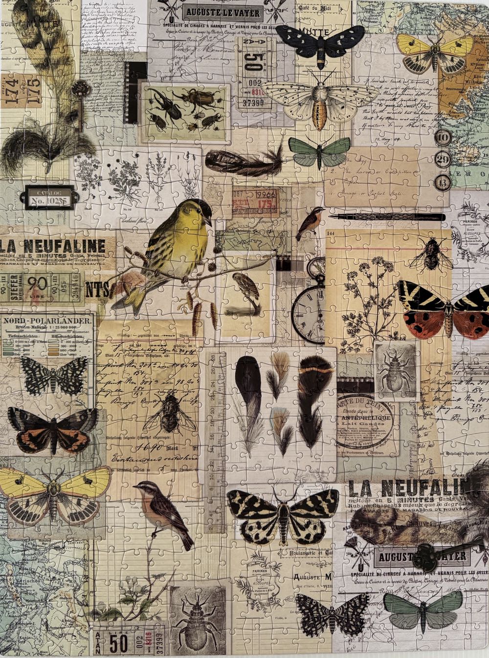 Ephemera - Kaiser style puzzle collectible [Barcode 883416626367] - Main Image 2