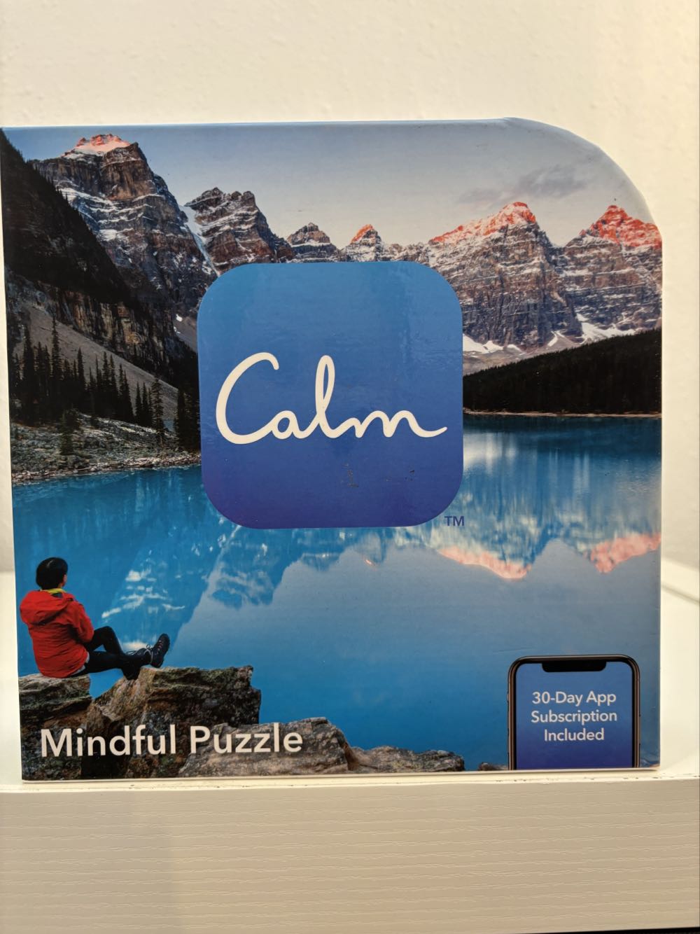 Collector Art Piece Great Western Train Sergio