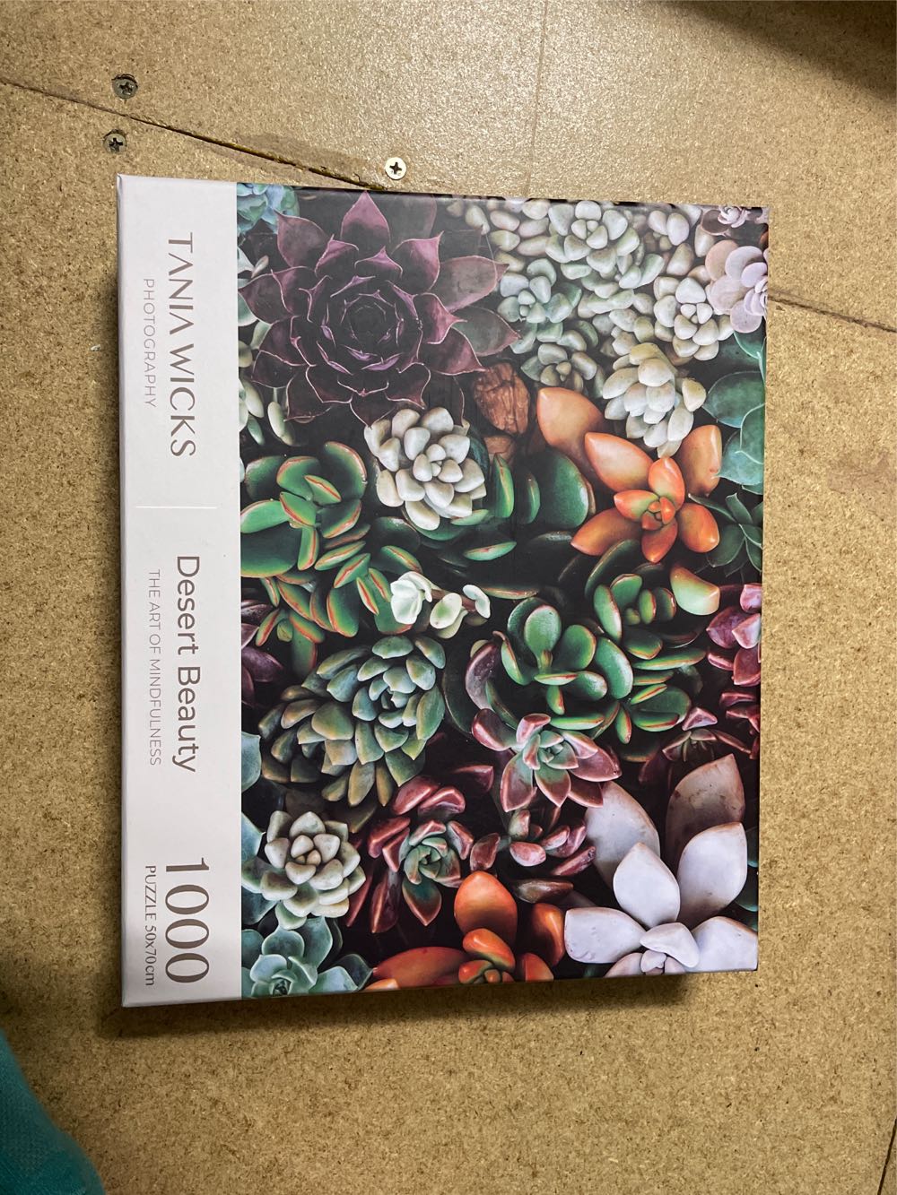  Cotton Lion Break Time Beautiful.  Cheryl 