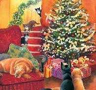 Can You Find Park & Zoo