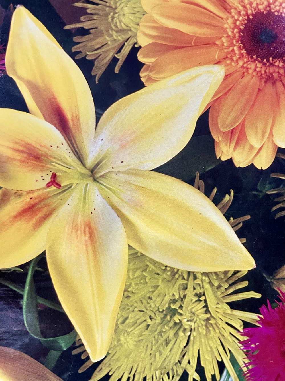 Mixed Flowers - Golden Books puzzle collectible [Barcode 033500539404] - Main Image 2