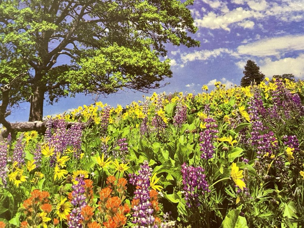 Lyle, Washington - Guild Puzzle puzzle collectible [Barcode 073000046156] - Main Image 2