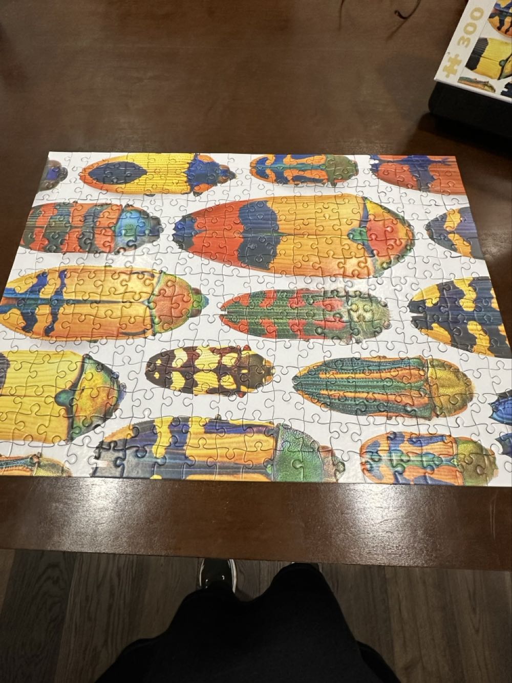 Sarah’s Secret Garden Adventure