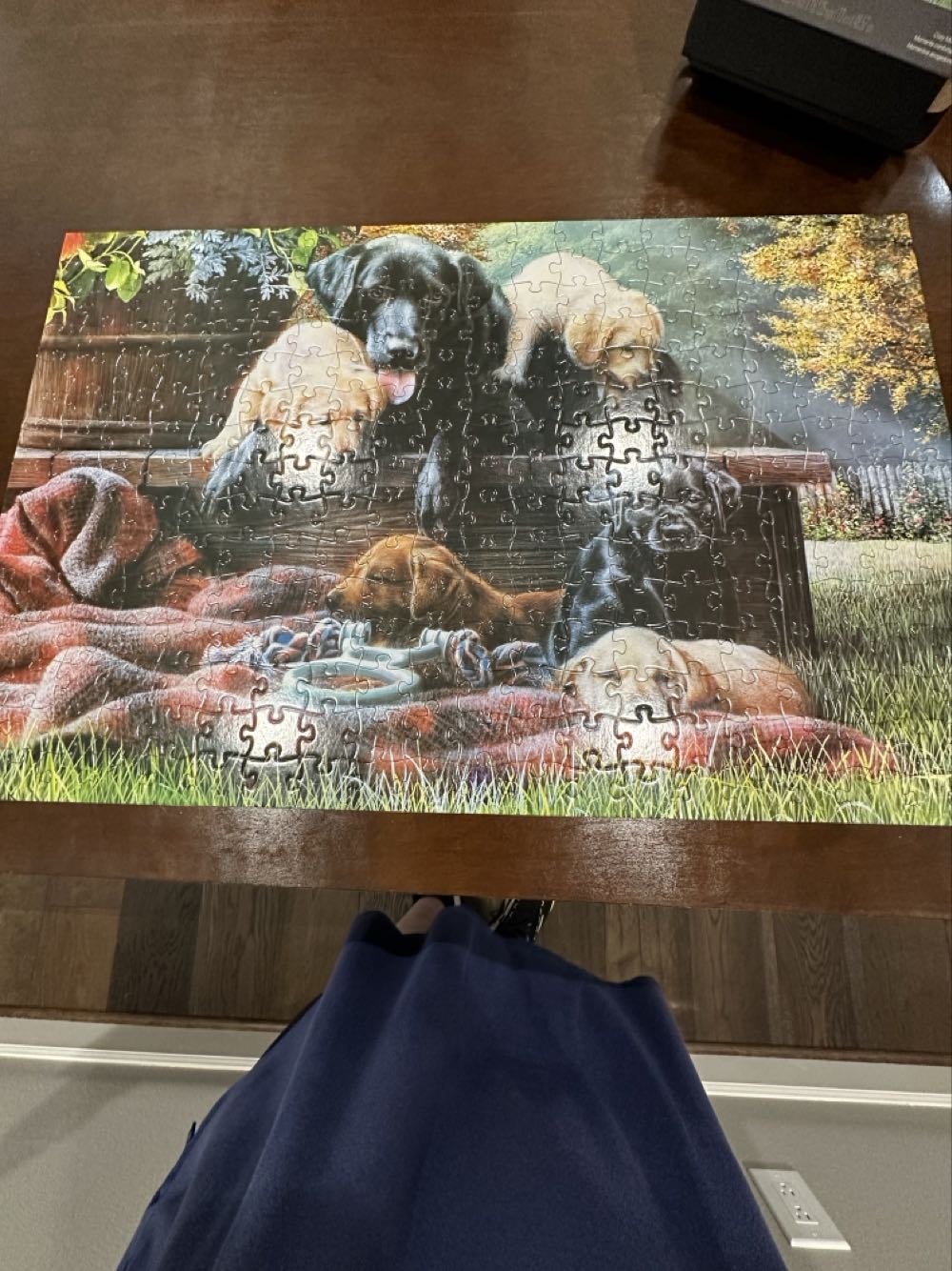 Sally Rich Leaping Grafika