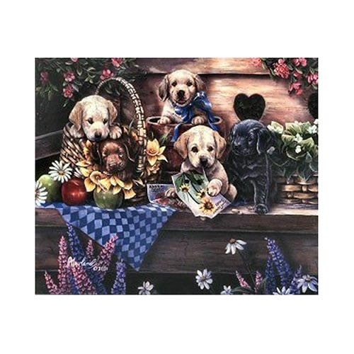 Welcome To Providencetown