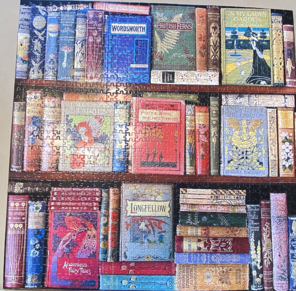 Vintage Library-SOLD - eeBoo 🇺🇸 puzzle collectible [Barcode 689196521379] - Main Image 2