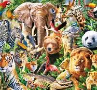 Rainbow Mandala Mirage (Jenn)