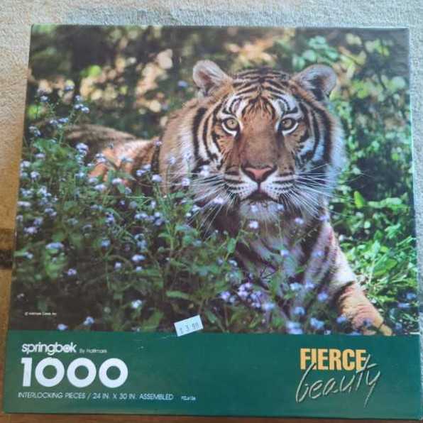 Hdr Photography Jigsaw Dancing Waters Fountain Pieces New