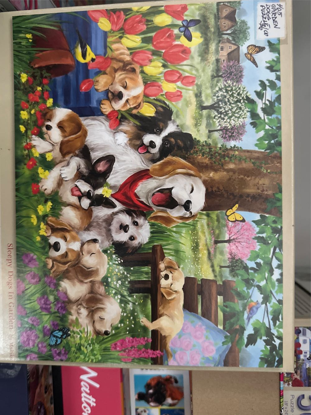 NFS Miso Black Box Level 4 Cities 2022