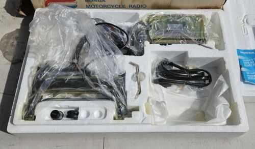 Jaguars & Butterflies