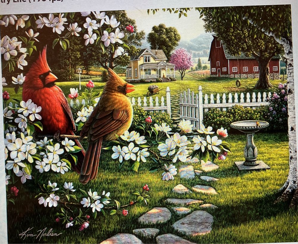 The Secret Garden In Full Bloom