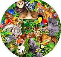 Image 111446