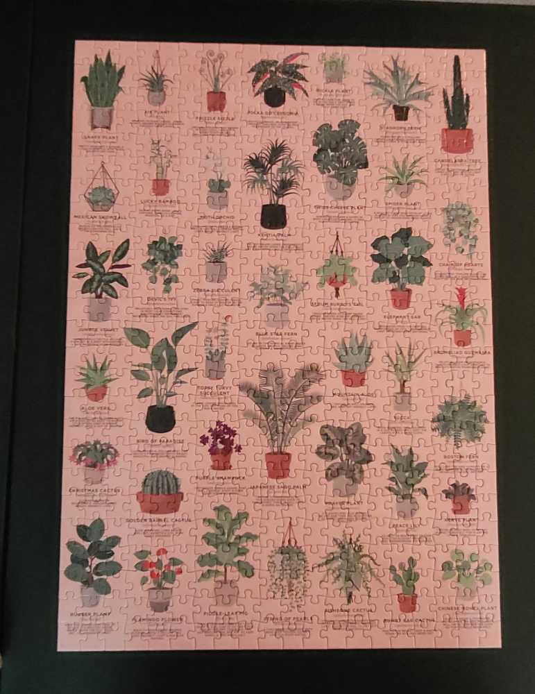 House Plants - Ridley’s Jigsaw Puzzles puzzle collectible [Barcode 810073342965] - Main Image 2