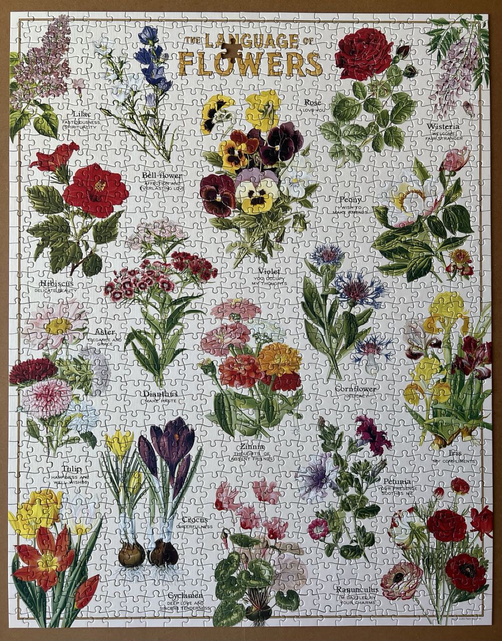 Language Of Flowers - Cavallini Papers & Co puzzle collectible [Barcode 9781639473748] - Main Image 2