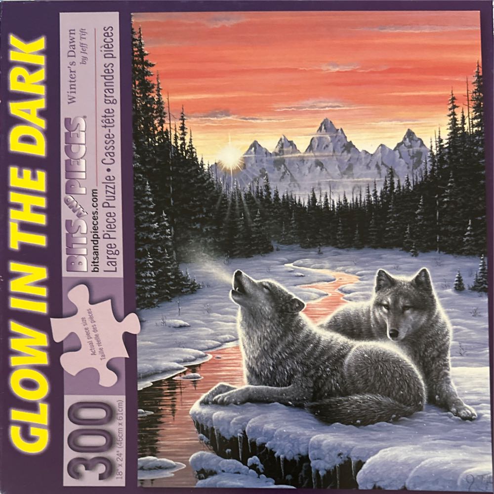 Disney Parks Signature Puzzle: Donald Duck 90th Anniversary