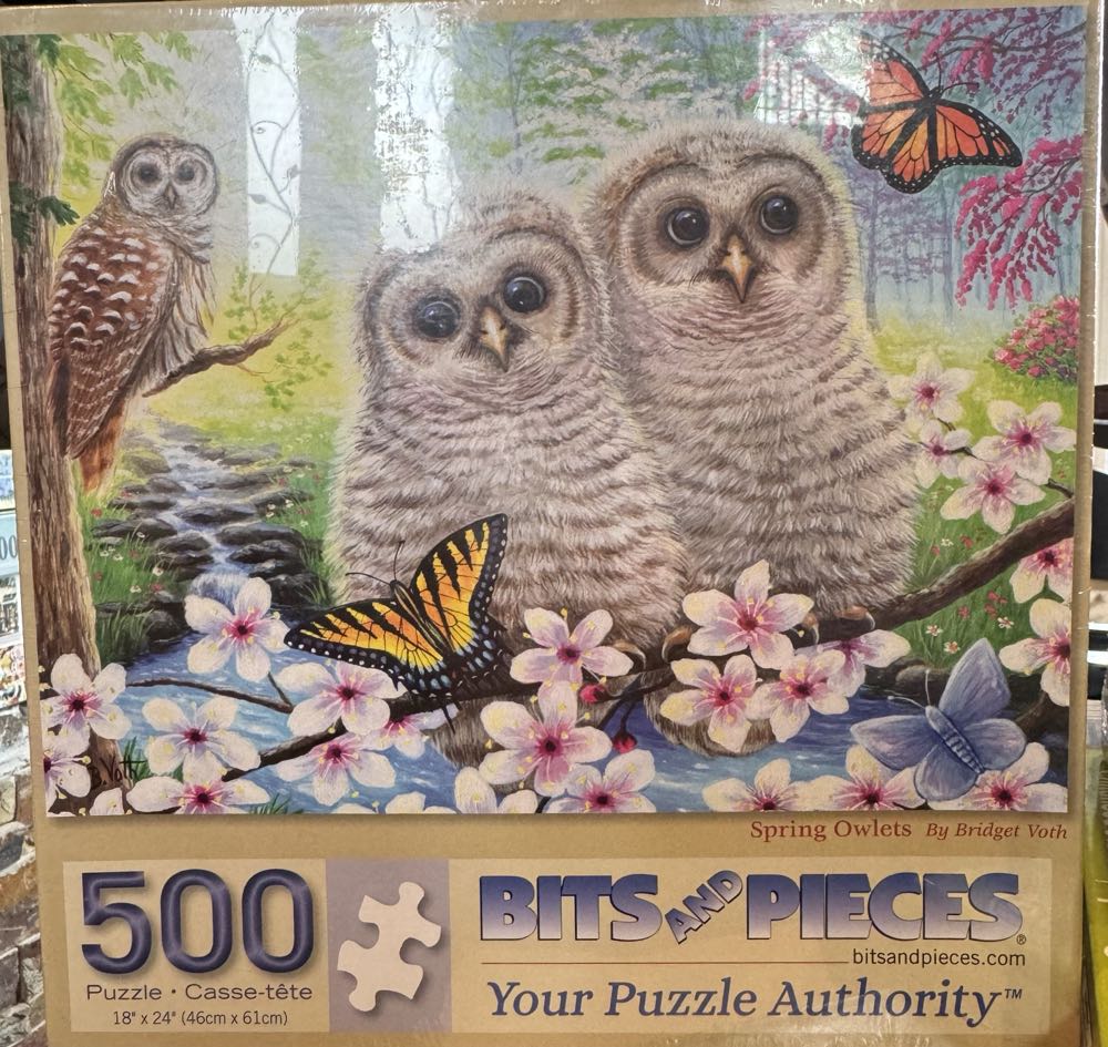 Rainbow Mandala Mirage (Jenn)