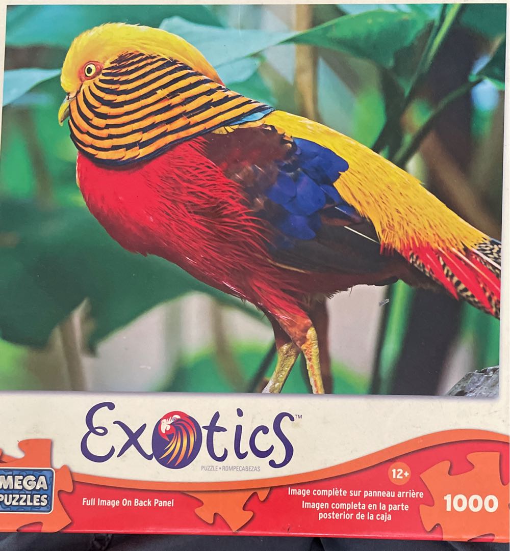 Johannes Vermeer Het Melkmeisje