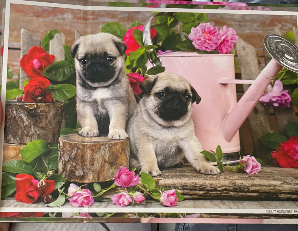 Disney Castle Collection Aurora