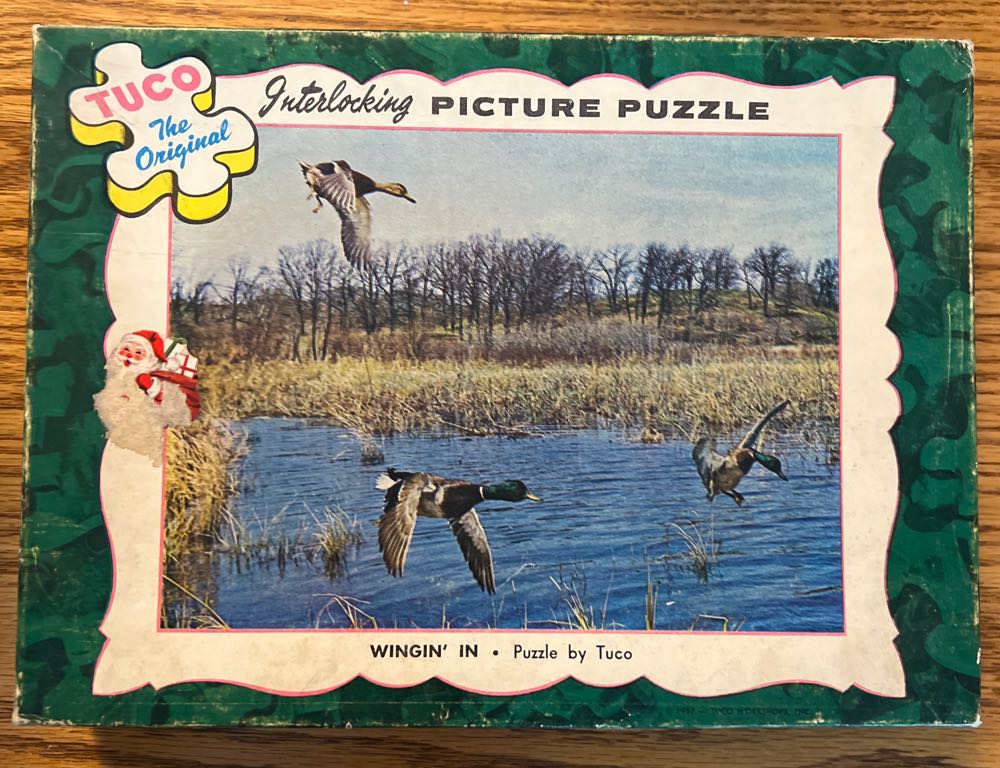 Mountain Lion Family