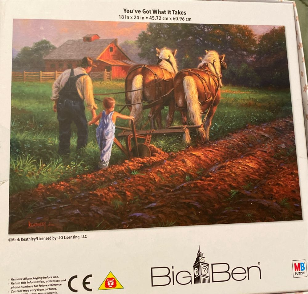 Sailor Moon: Sailor Guardians 1000 Piece Puzzle