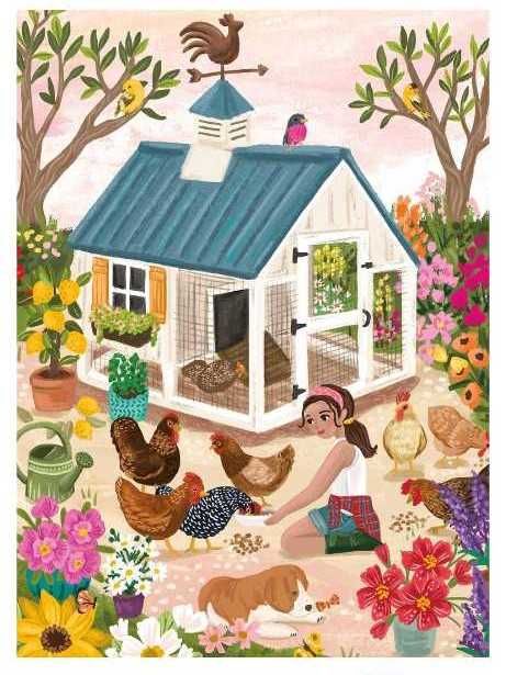 United States Presidents-USED