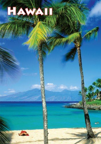 Hometown Heroes Safety First 1000pc Puzzle