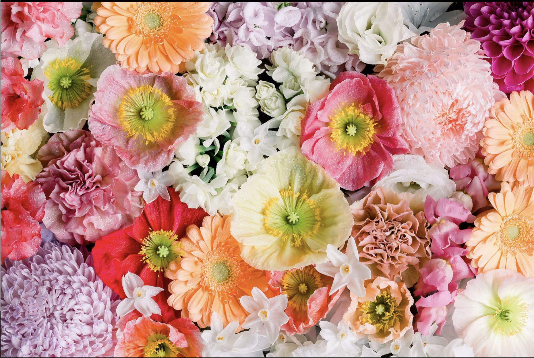 Spring Serenity - Tania Wicks puzzle collectible - Main Image 2