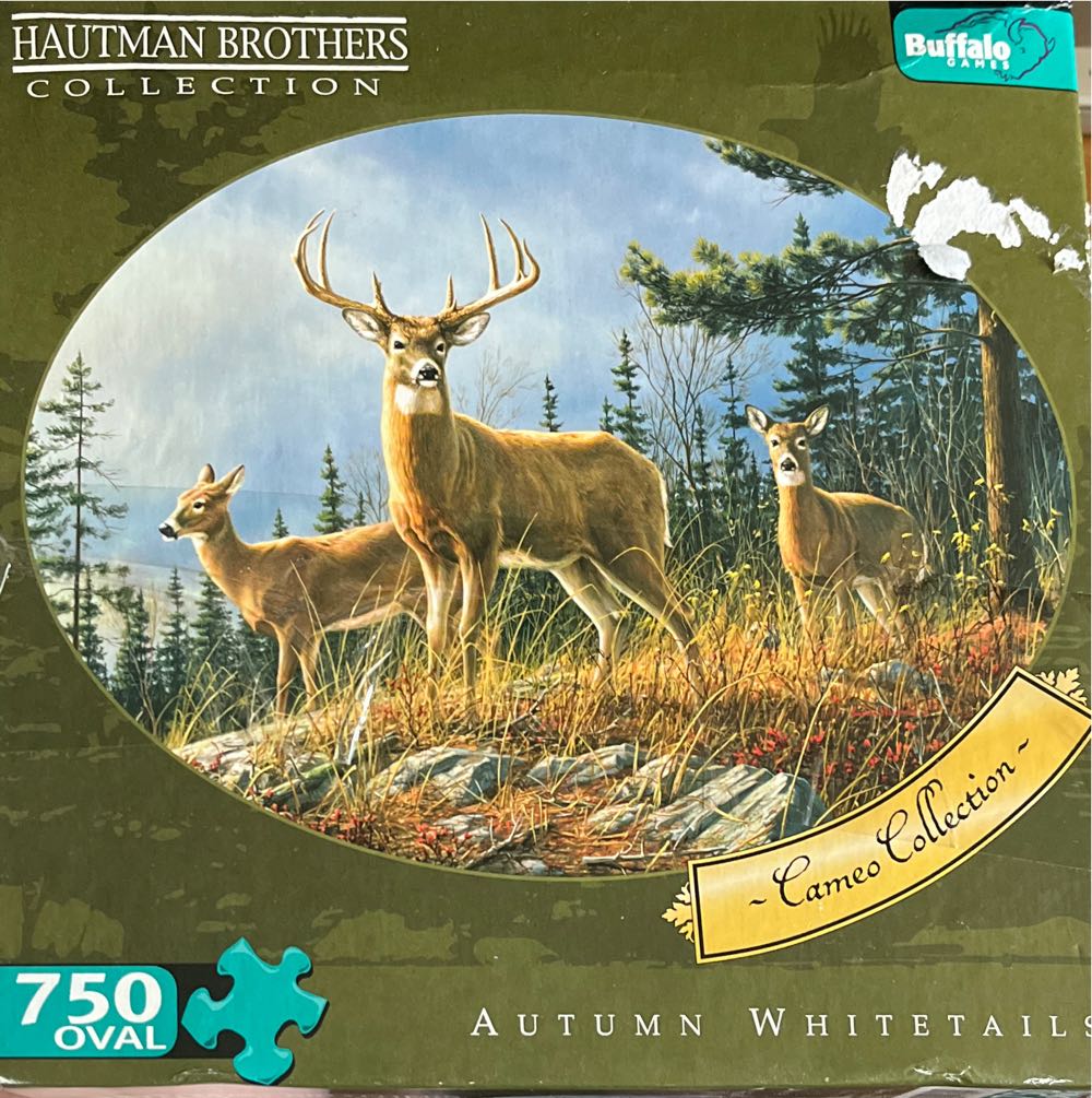 Selfies - Elephant, Zebra, Rhino, Giraffe