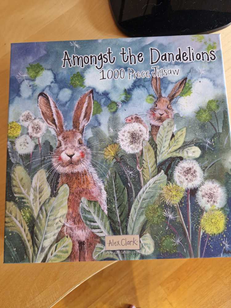 Washington Huskies 500 Piece